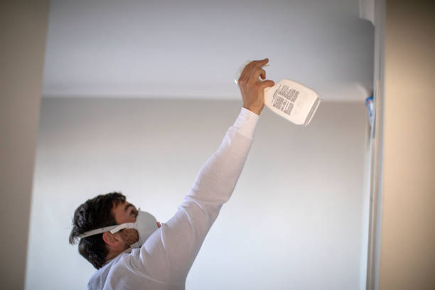 Best Basement Mold Remediation in Adwolf, VA